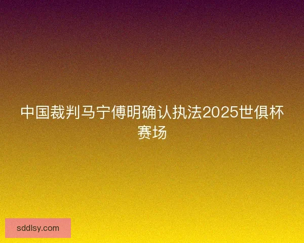 中国裁判马宁傅明确认执法2025世俱杯赛场